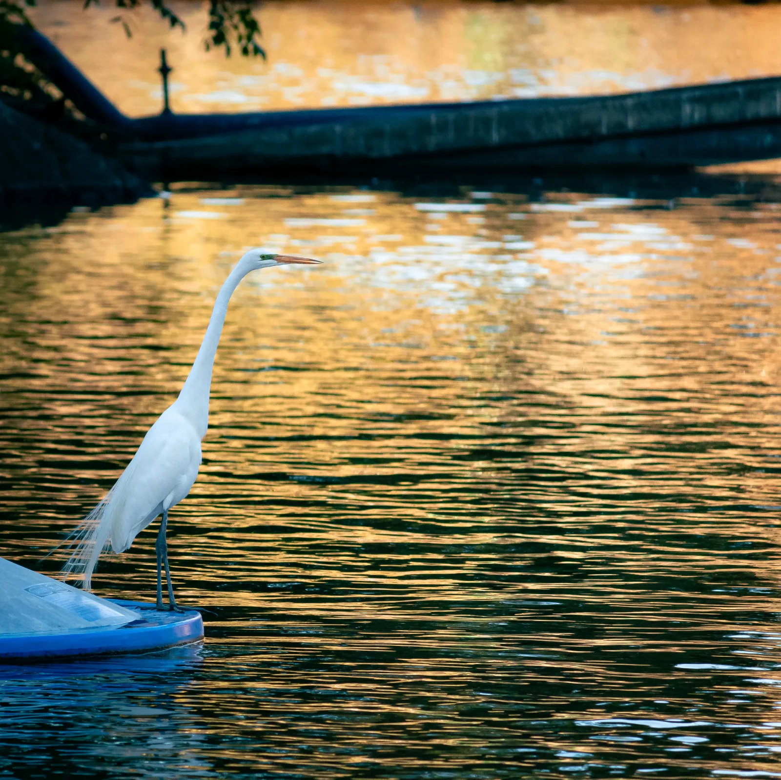 nature photography by JRMGraphy